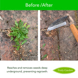 Sickle Style Hand Weeder